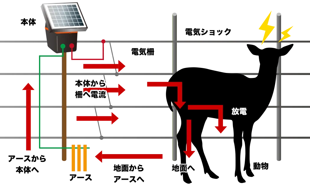 電気柵の基本的な設置方法と電気の流れ