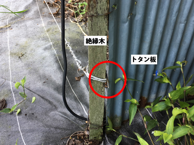 電気柵の漏電